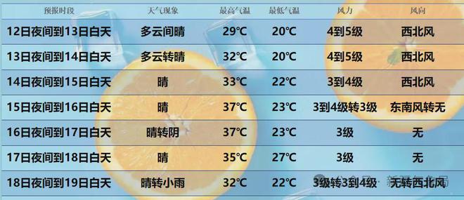 新：奥天天开奖资料大全,专业地调查详解_OKK34.165锐意版