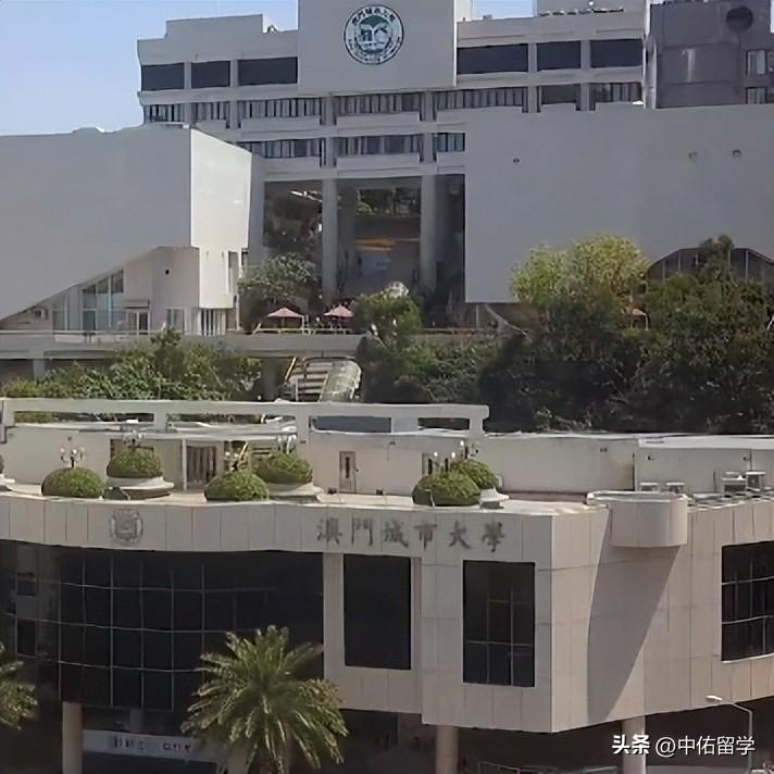 2024澳门今晚开奖码,科学解说指法律_MIT34.600酷炫版