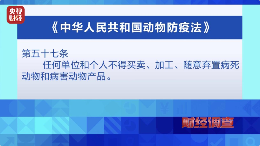 4949澳门开奖现场+开奖直播10.24,实地验证研究方案_SBE34.677触感版