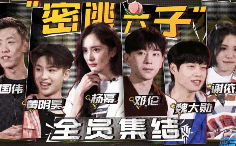 最新脱密期观点分析与阐述