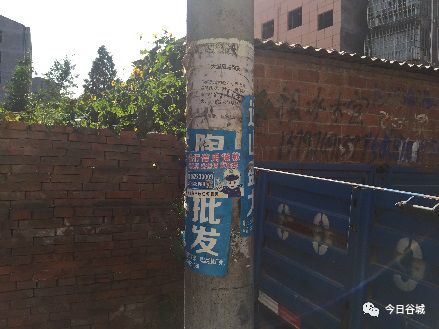 藤县最新房价揭秘,巷弄深处的独特环境探索与小店奇旅