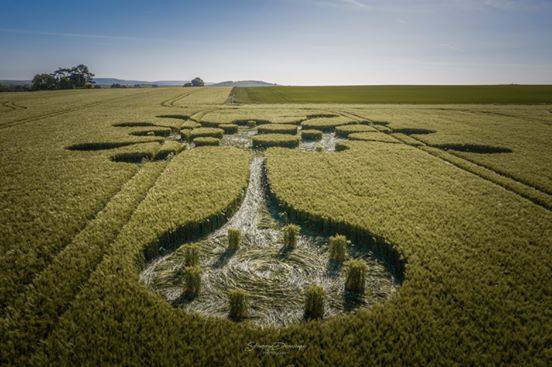 麦点新闻速递，田间趣事与深厚友情的交织