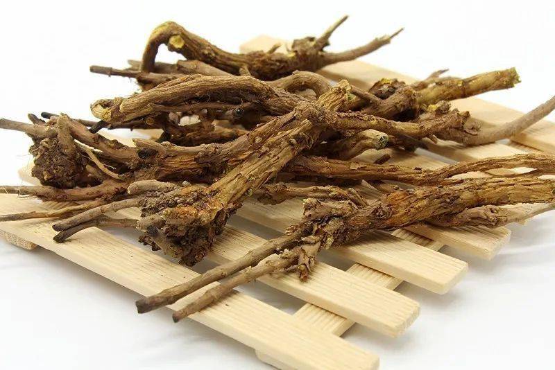 黄苓最新价格,黄苓最新价格论述