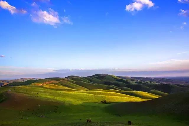 新疆游记揭秘多元文化独特魅力