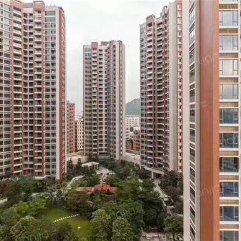 龙华新楼盘的温馨生活日常故事分享