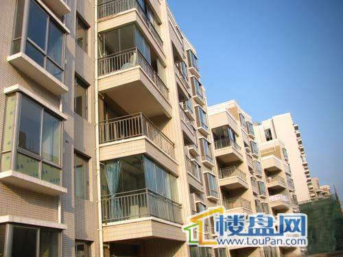 兰考最新楼盘的温馨故事与介绍