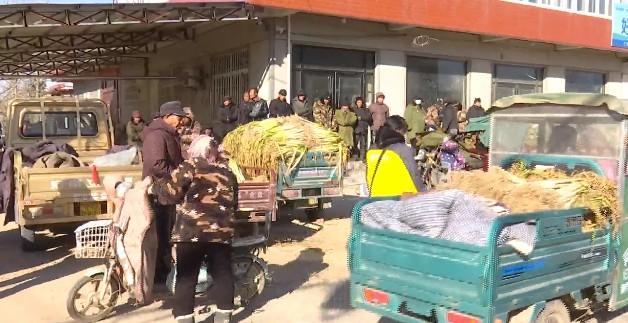 郯城邳州最新动态，自然美景探索之旅