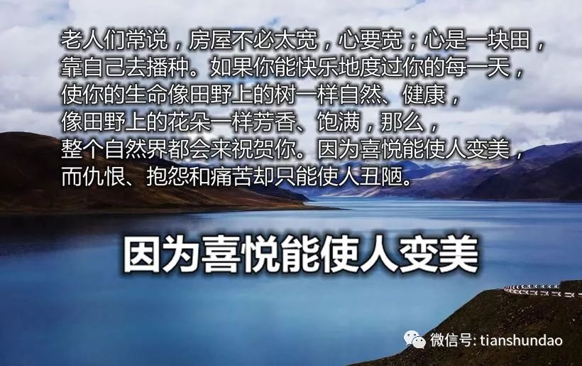 商务信息咨询 第509页