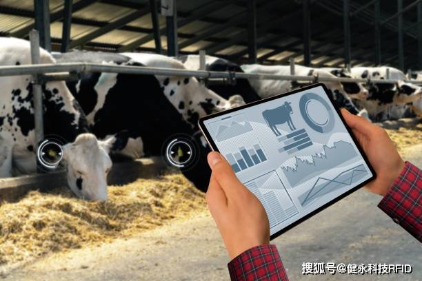 揭秘高科技养殖新时代,智能变革引领养殖行业迈向前所未有的发展境界