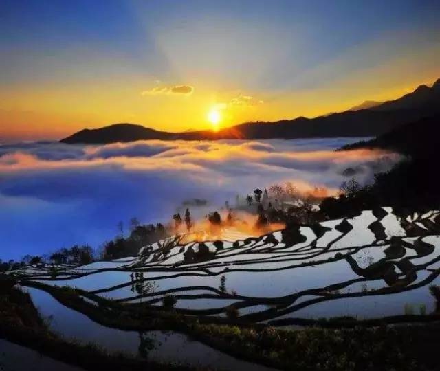 商务信息咨询 第507页