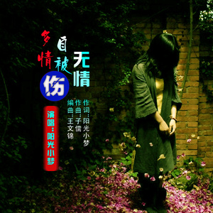 最新悲伤情歌,秘密乐园与小巷的哀愁旋律