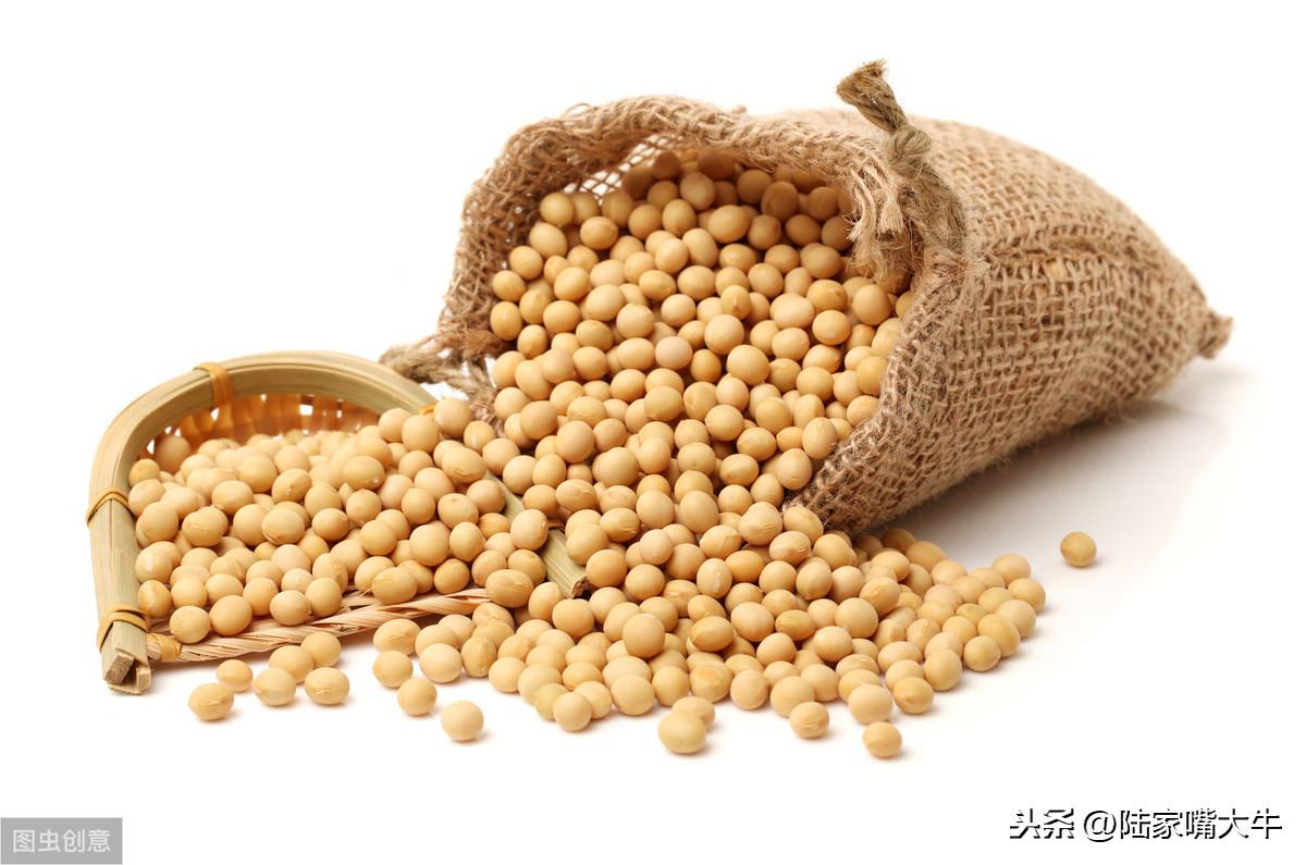 美豆期货最新动态，科技重塑投资体验，智能交易新时代开启