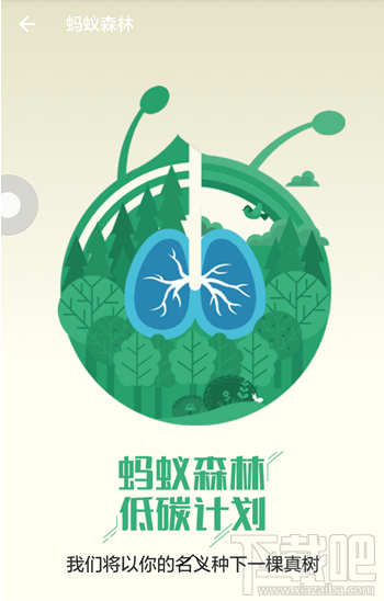 蚂蚁森林最新动态，绿色能量助力学习成就未来