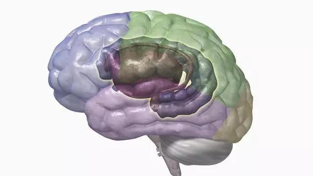 海马最新动态,高科技产品重塑生活,引领未来科技风潮