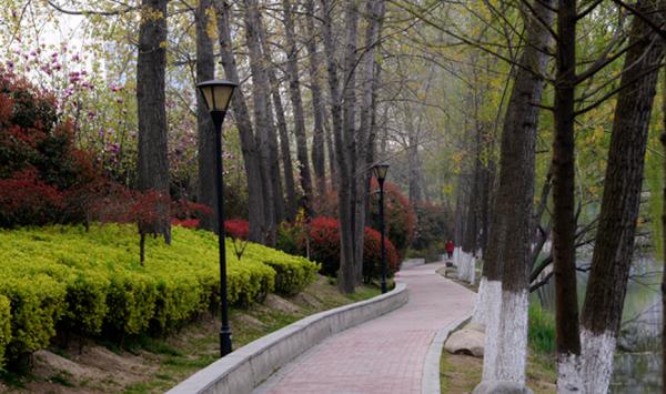 泗阳新篇章，最新建设规划与温馨故事展望