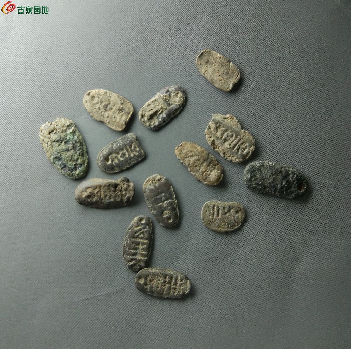 蚁鼻钱最新价格揭秘，最新行情大揭秘🔍💰