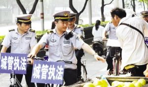 双鸭山最新杀人案深度解析，背景与要点探究