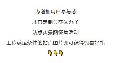与大自然共舞,寻找内心的诗与远方——最新口头禅下的自我探索之旅