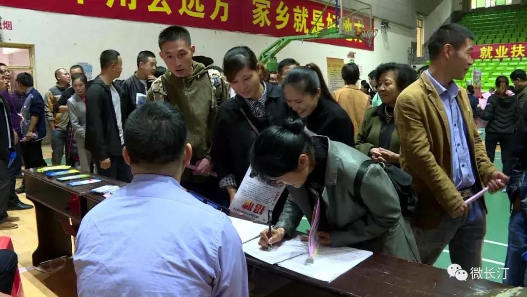 长汀宾馆最新招聘信息及其影响与观点分析