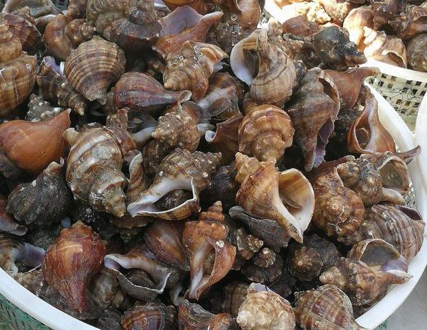 大连最新早市概览,科技生活的新篇章