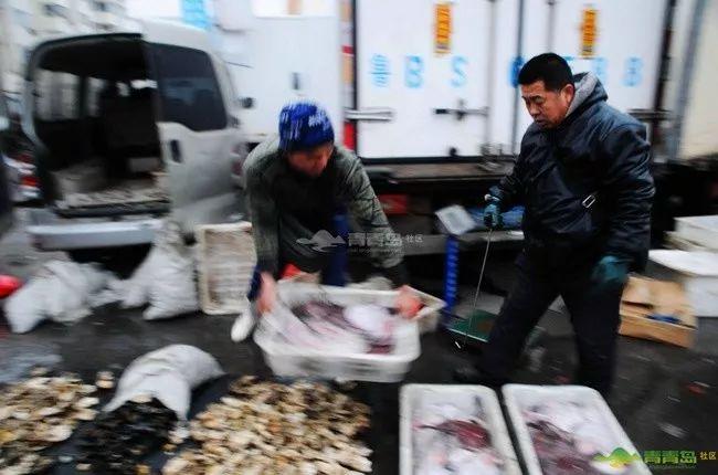 大连最新早市概览,科技生活的新篇章