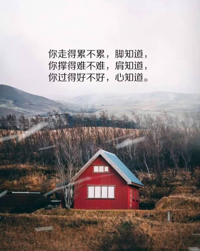 最新暖心短句说说，小巷深处的独特味道，温暖每一刻的心灵瞬间。