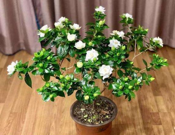 北京早点转让信息更新，变化之旅与成就感的追寻