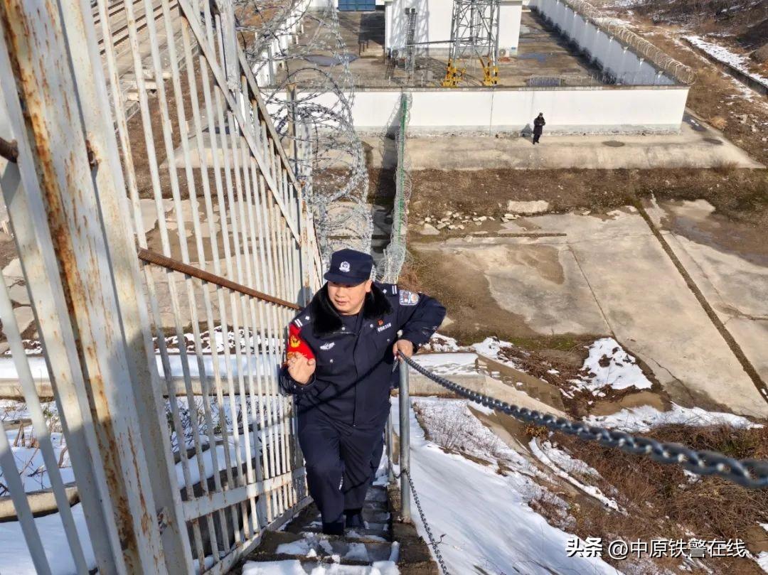 2024最新流行广场舞，舞动新时代的魅力风采