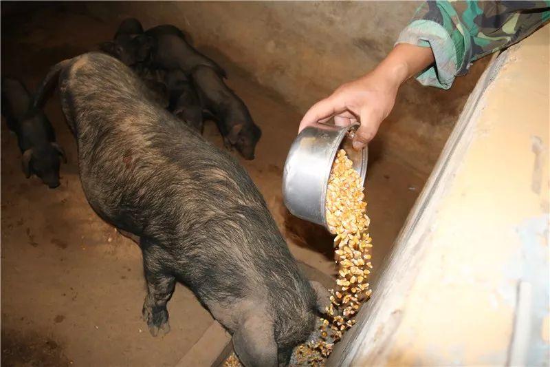 酒店管理 第499页