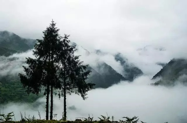 鲁尔山最新视频震撼上传，自然美景的瞬息万变