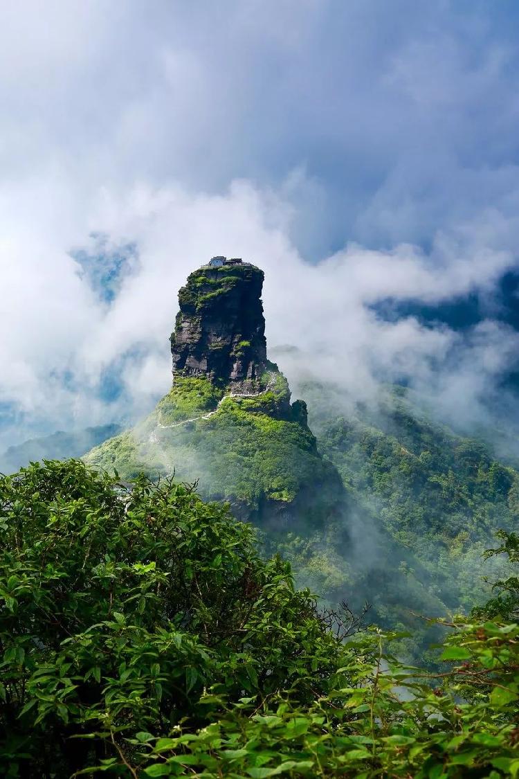 黄山最新动态，自然美景探索之旅，启程寻找内心宁静