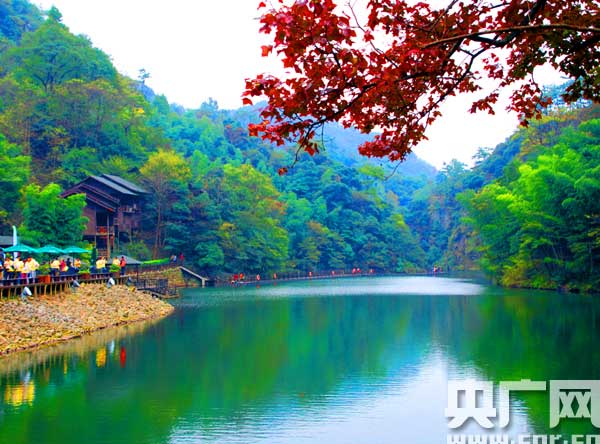 黄山最新动态,自然美景探索之旅,启程寻找内心宁静