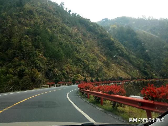 黄山最新动态,自然美景探索之旅,启程寻找内心宁静