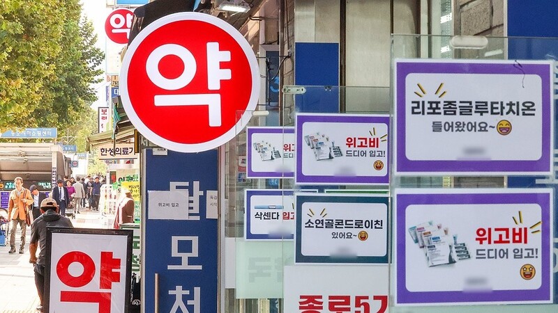 韩国最新新闻速递，日常趣事与温馨时刻回顾