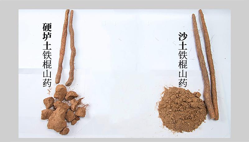 酒店管理 第498页