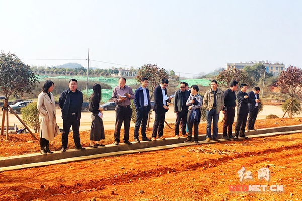 安化杨光鑫最新职务调动,友情、家庭与日常的小确幸见证者