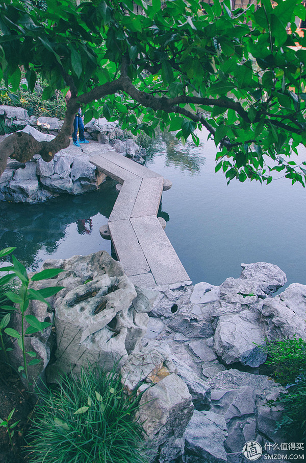 保定苏园最新动态揭秘,小巷中的隐藏瑰宝