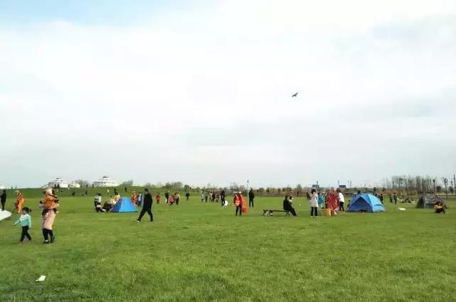 商务信息咨询 第490页