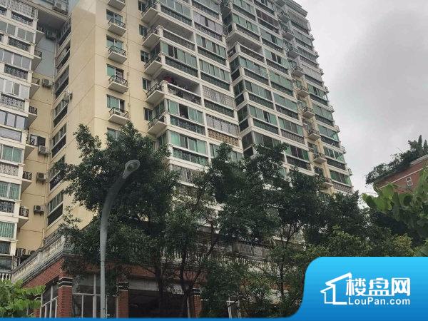 厦门最新楼盘价格的奇妙探索之旅揭秘！