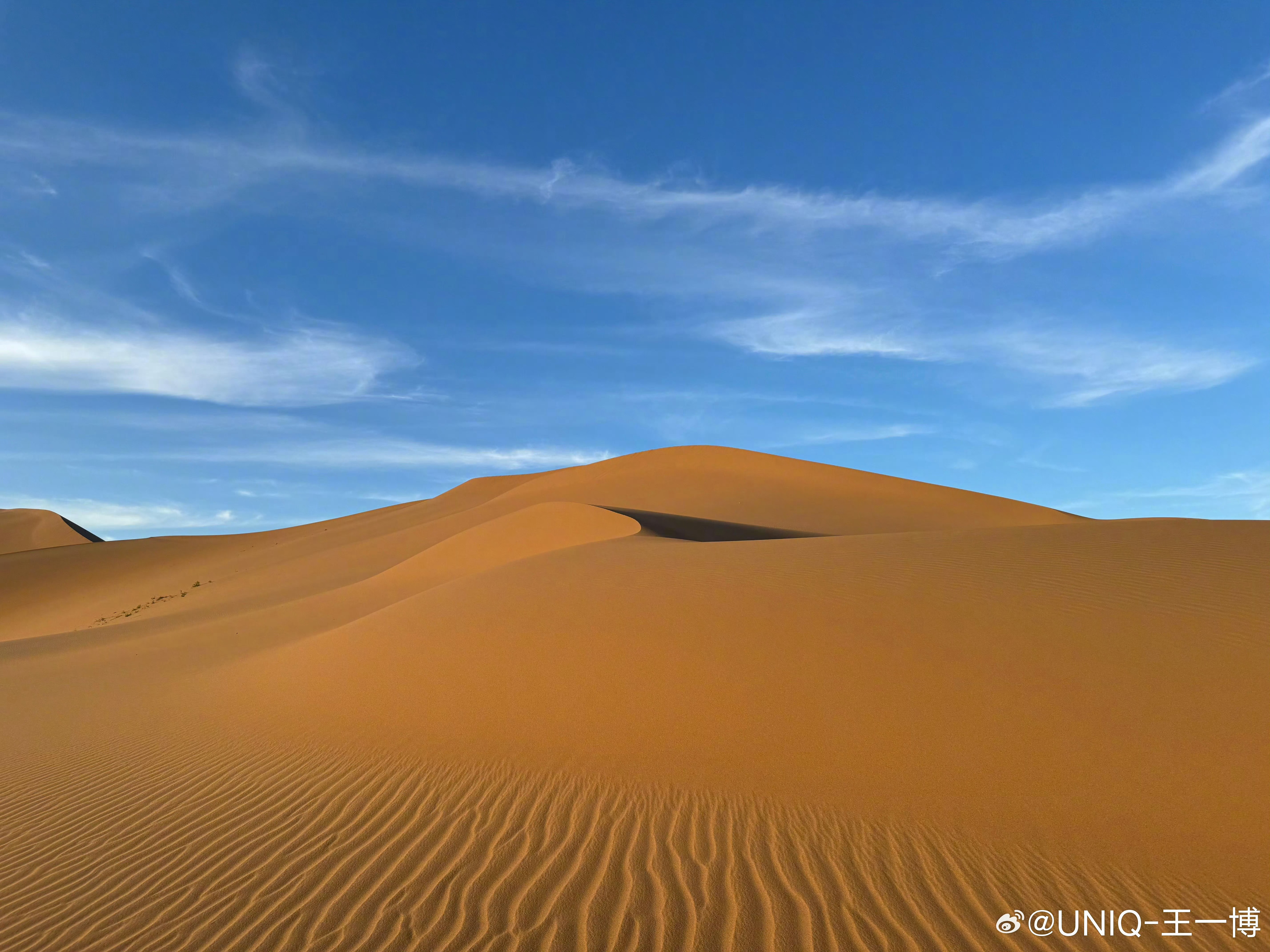 金沙秀最新下载地址,自然美景轻松探索之旅启动