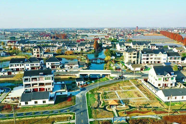 洪合镇最新规划详解及观点论述