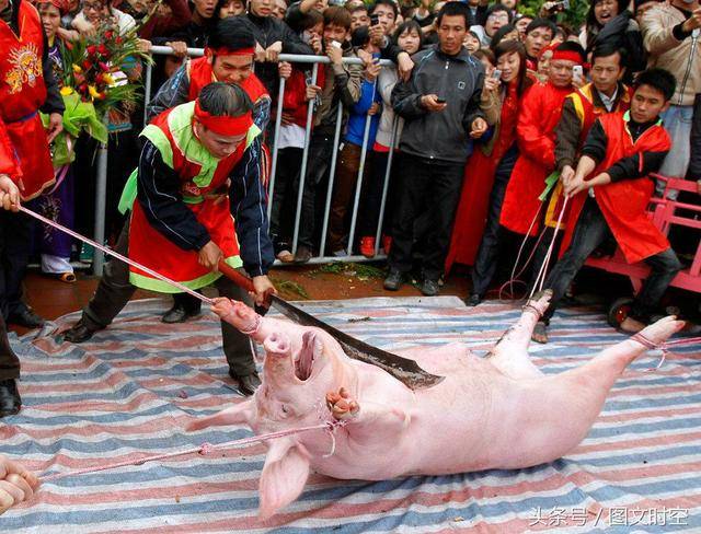 2024年春节杀猪视频,记录温馨的杀猪瞬间