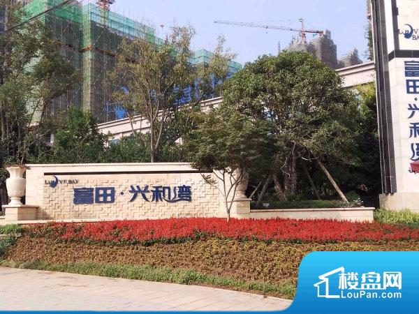 富田兴和湾最新评论分享🌟