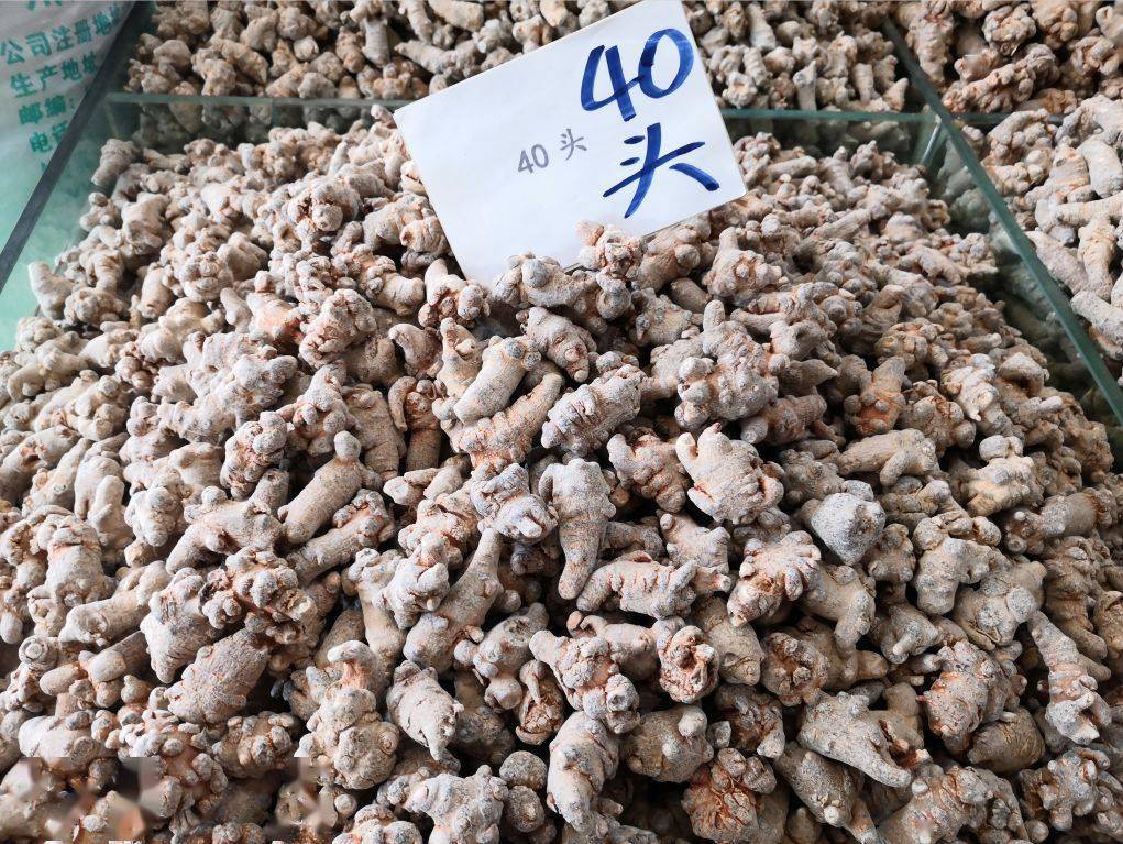 生意社三七最新动态更新,行业资讯与市场趋势分析