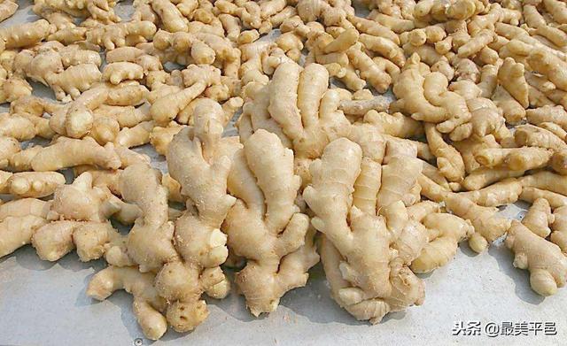 生姜最新价格走势预测——小城姜香背后的市场动态