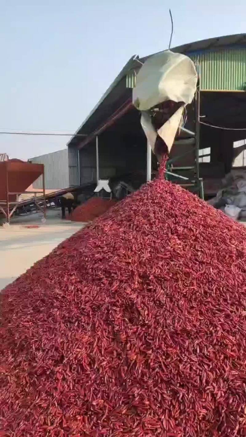 干辣椒最新价格走势深度论述与分析