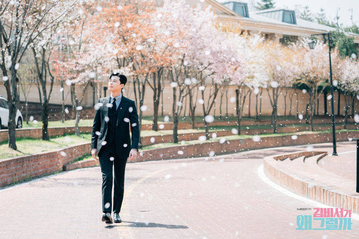 澄城李英俊最新动态,澄城李英俊的最新动态,探寻他的成长之路与未来展望