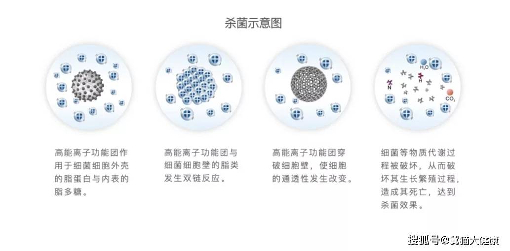 2024又要开始做核酸了,科学分析严谨解释_DHA9.115掌中宝