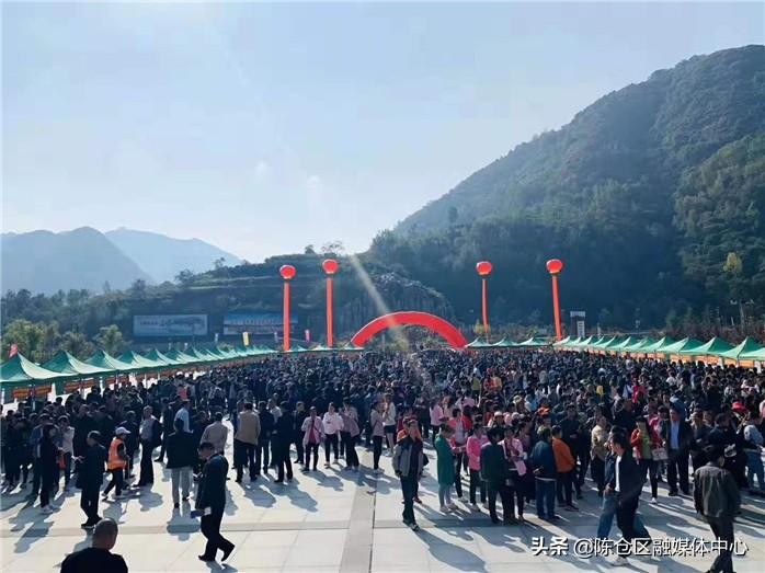 陈仓最新招聘,陈仓最新招聘动态解析