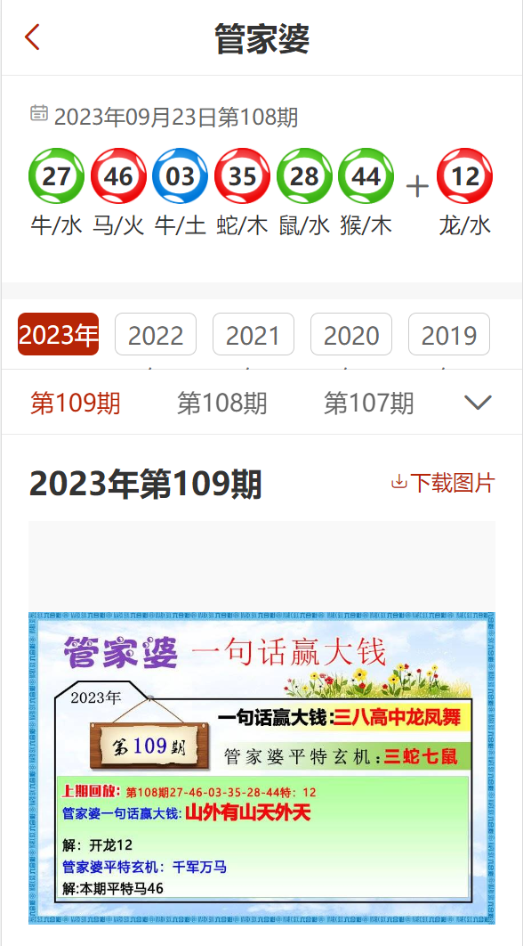 2024管家婆精准资料第三,统计信息解析说明_IWI83.358商务版